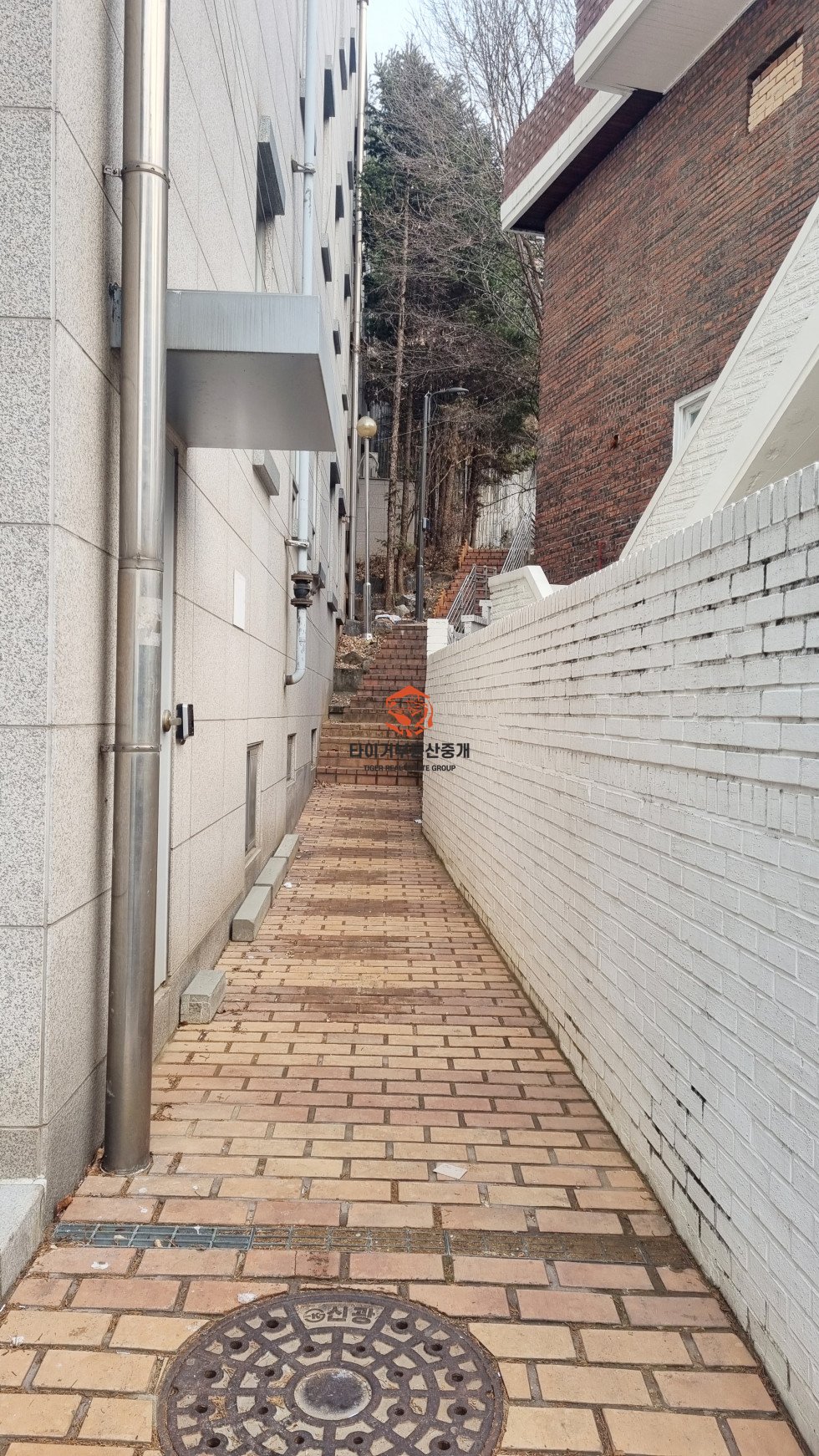 사진 14