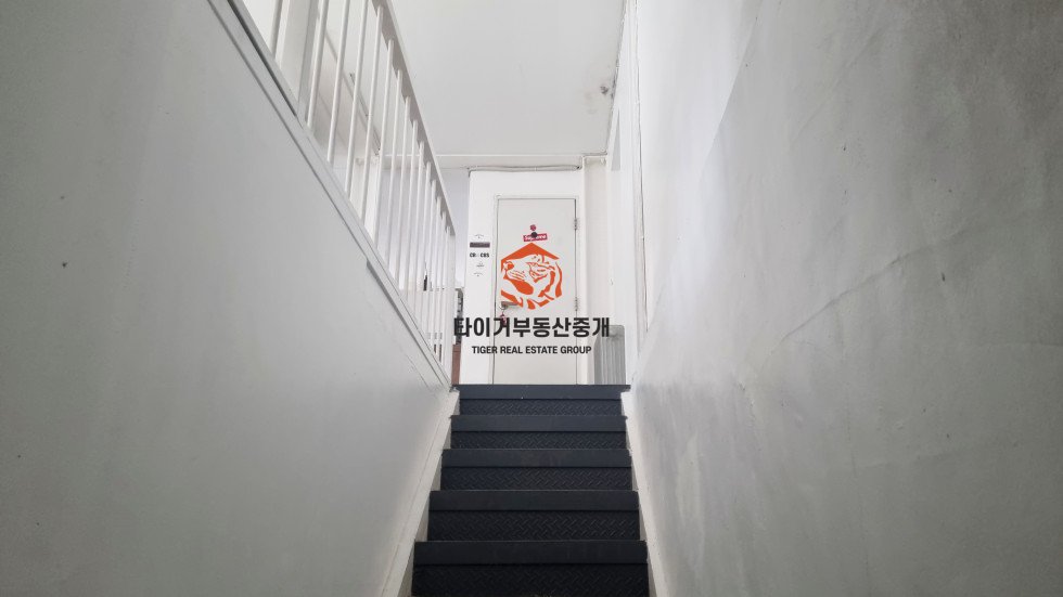 사진 7