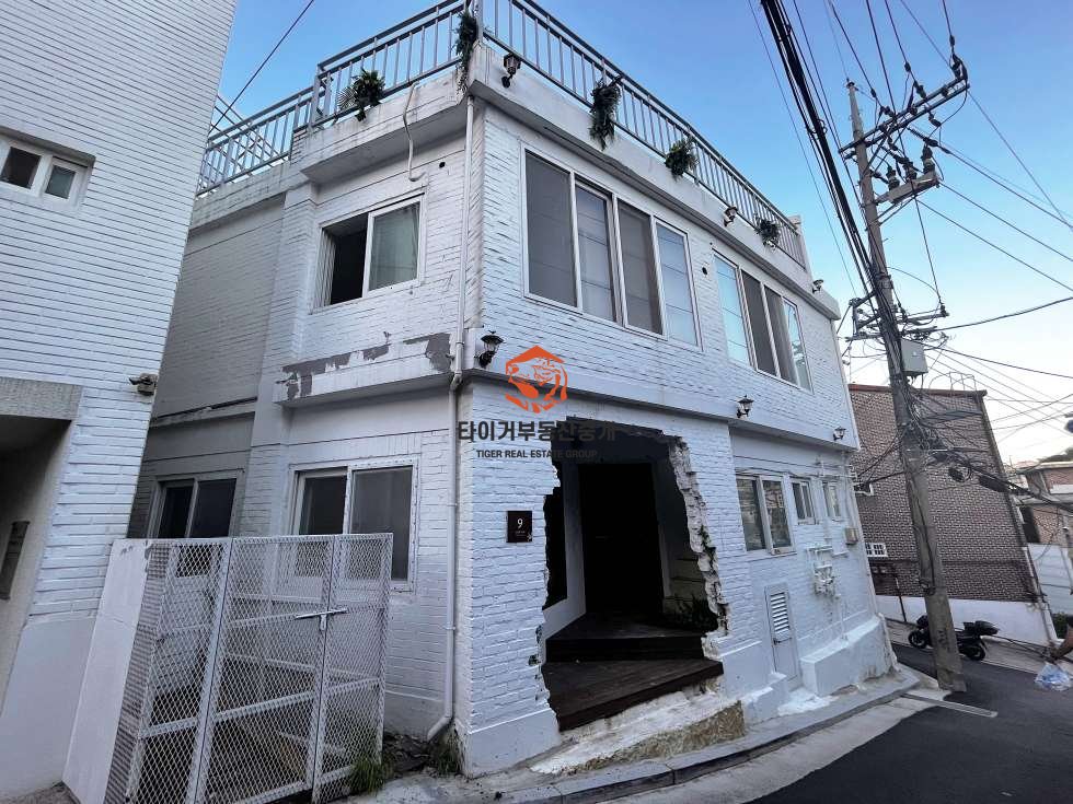 사진 5
