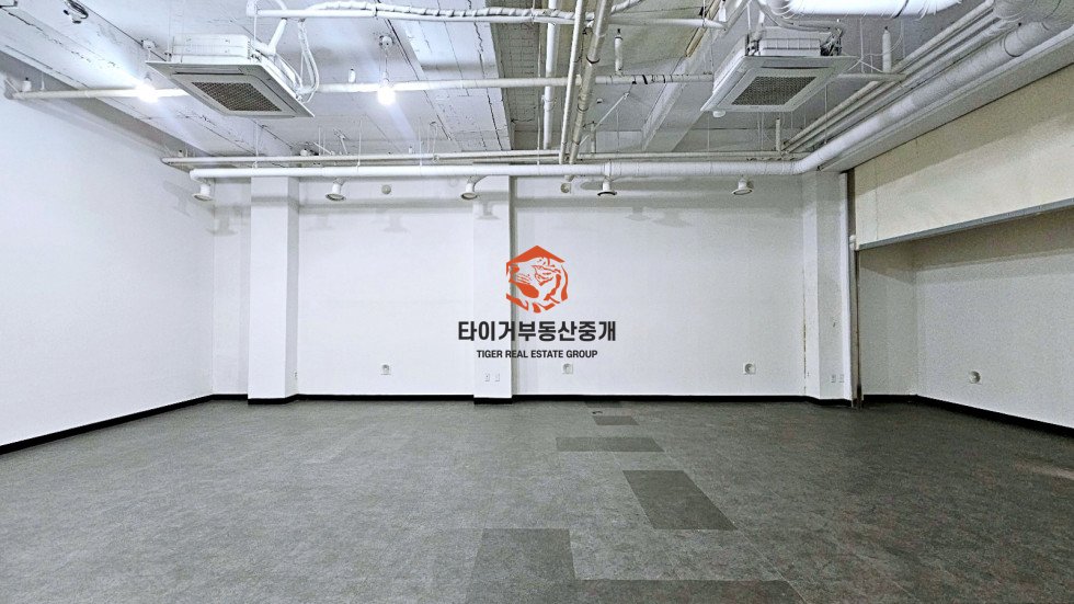 사진 5