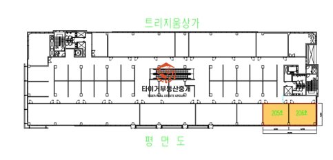 사진 3