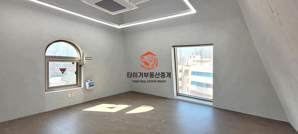 사진 5