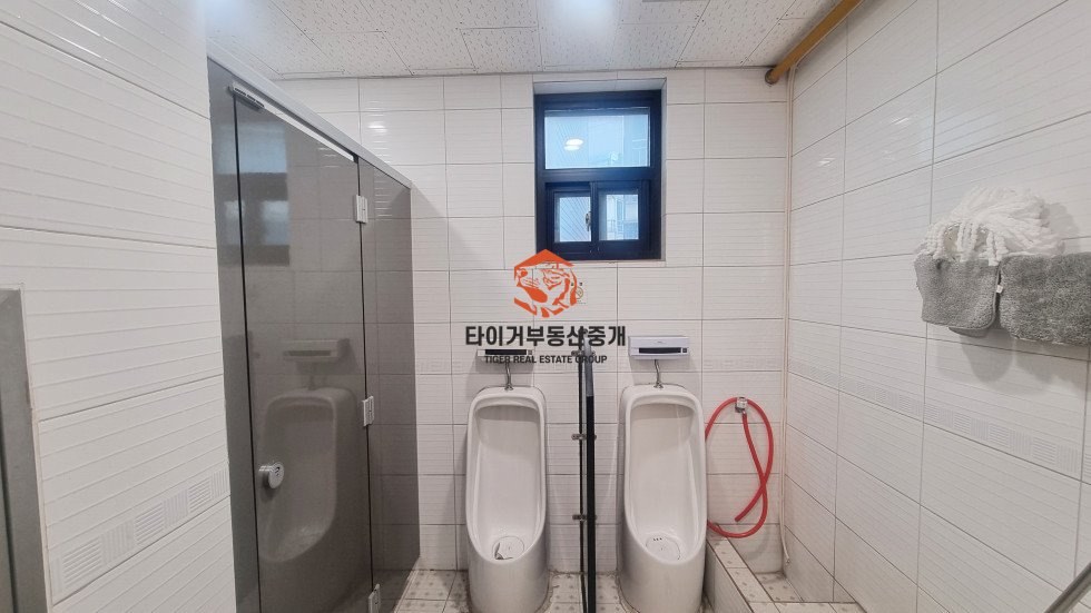 사진 6