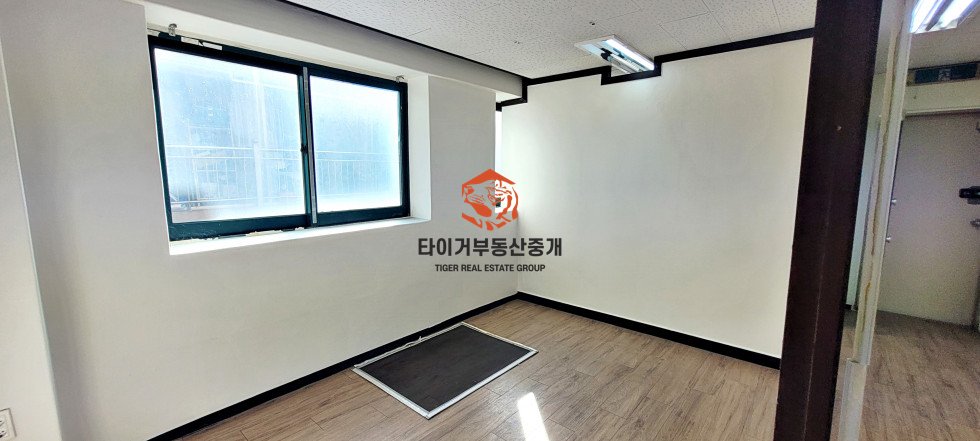 사진 5