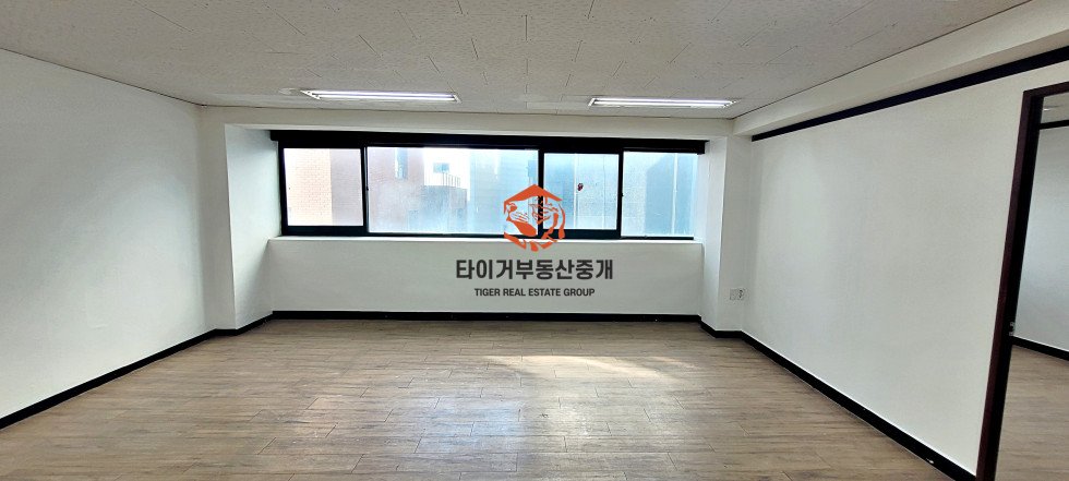 사진 9