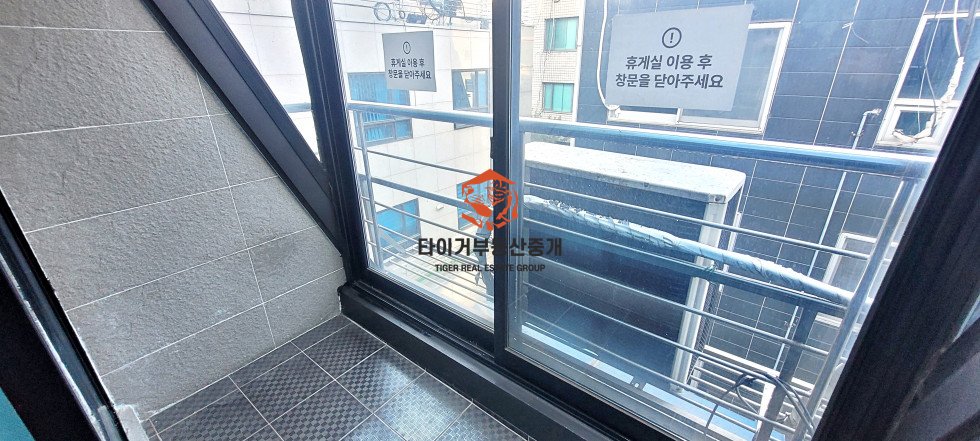 사진 10
