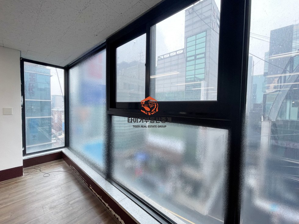 사진 5