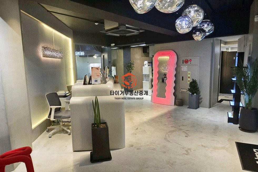 사진 5