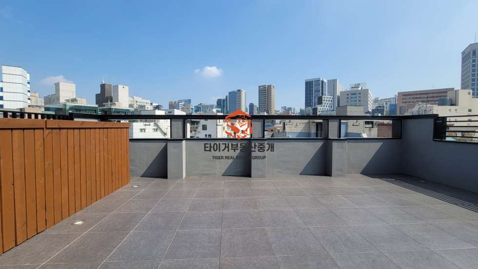 사진 10