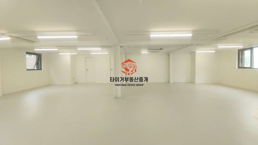 사진 5