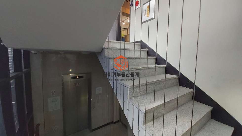 사진 6