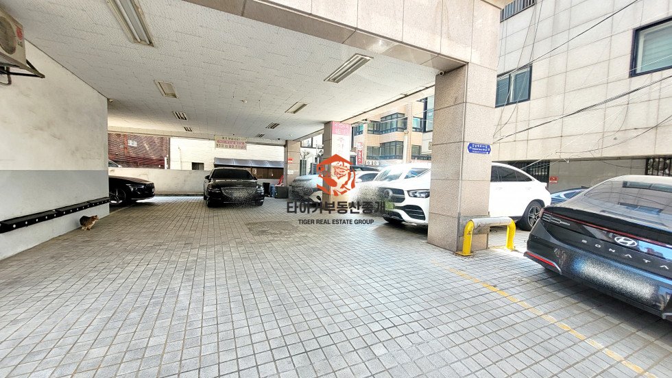 사진 14