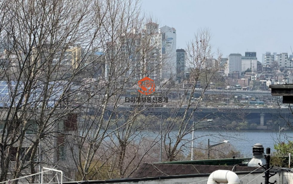 사진 5