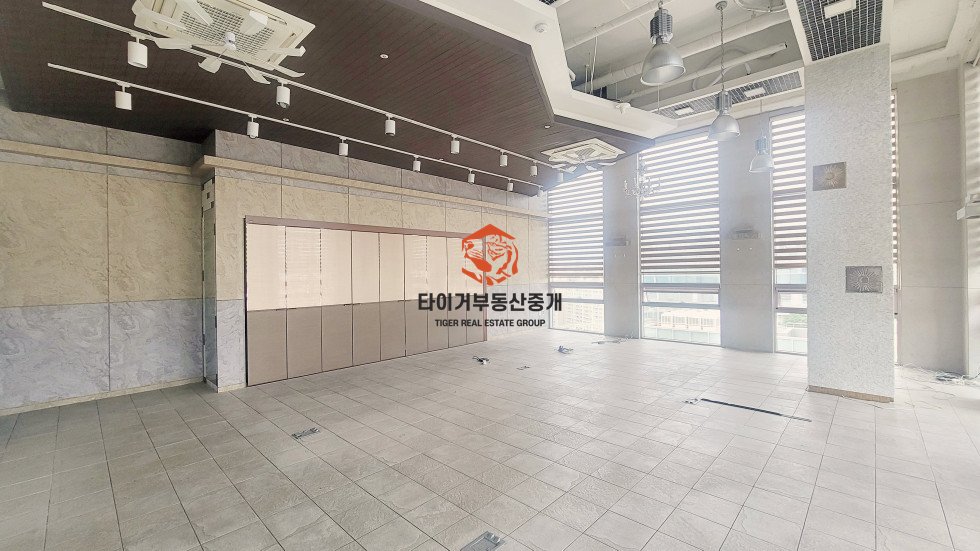 사진 5