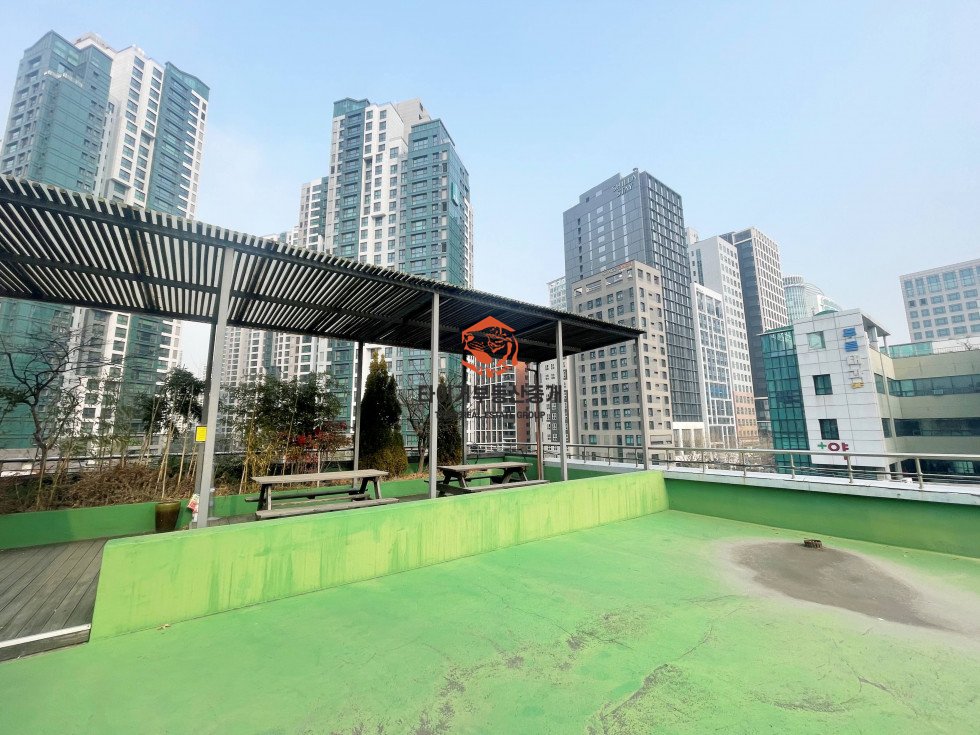 사진 16