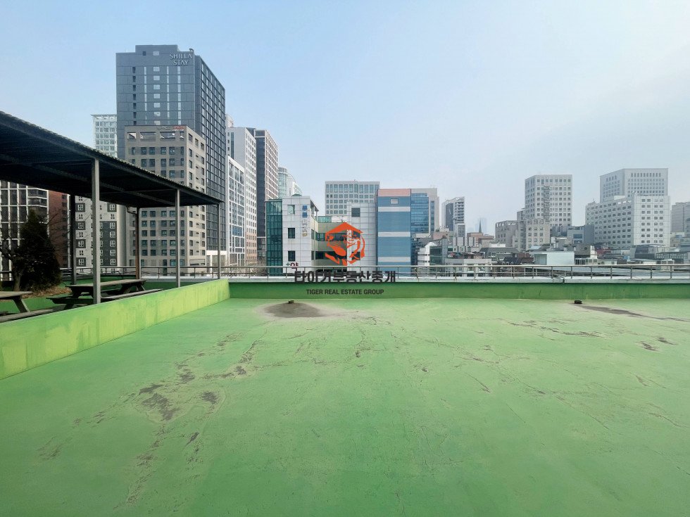 사진 18