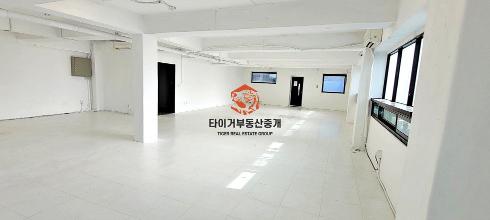 논현동