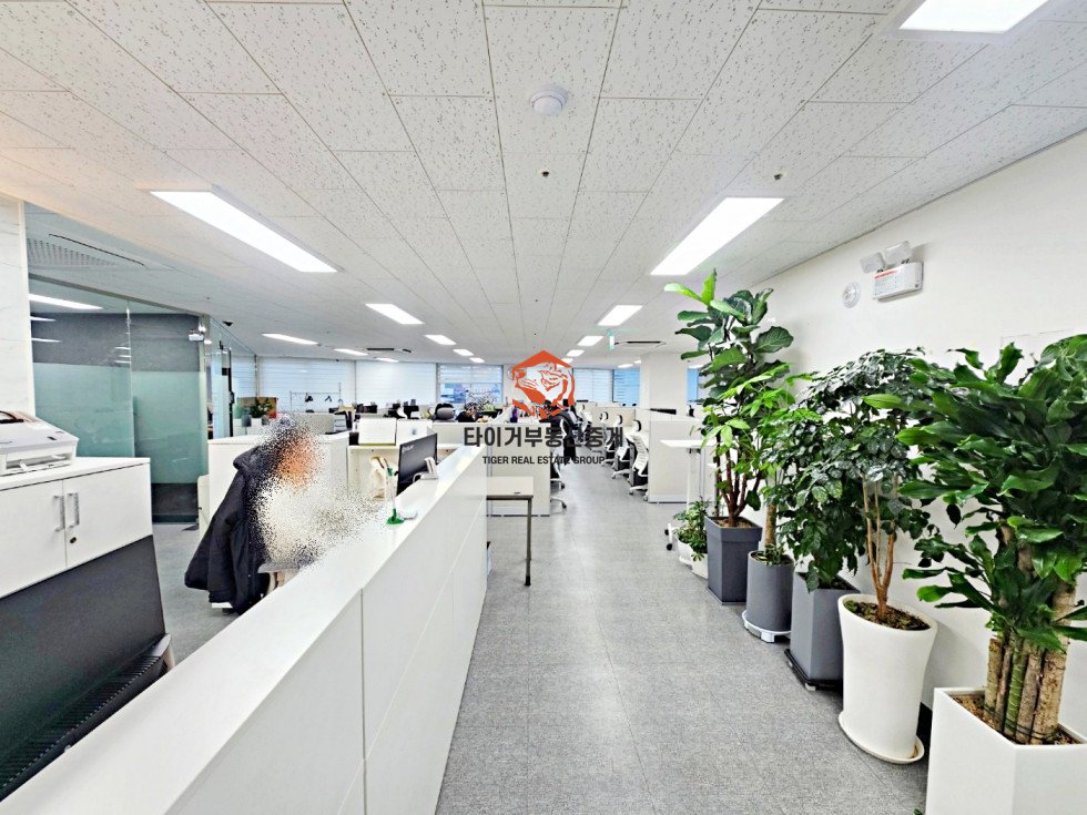 사진 3