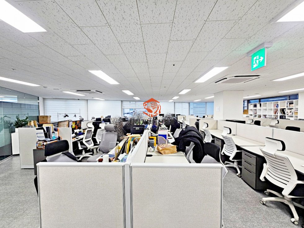 사진 5