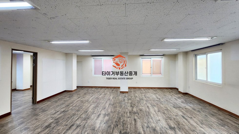 사진 3