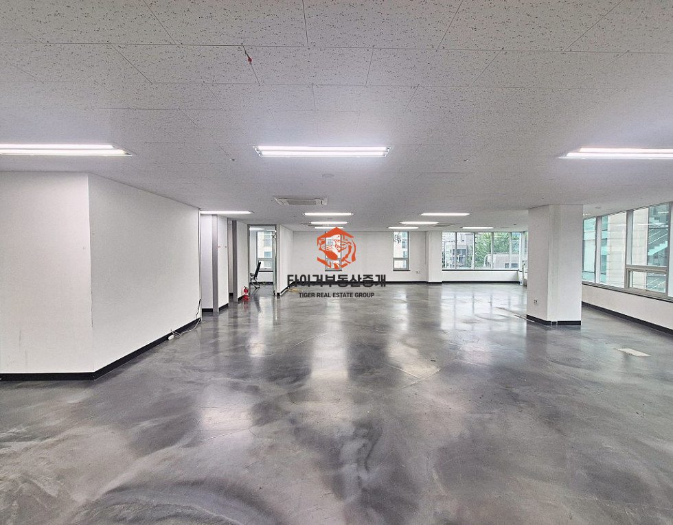 사진 3