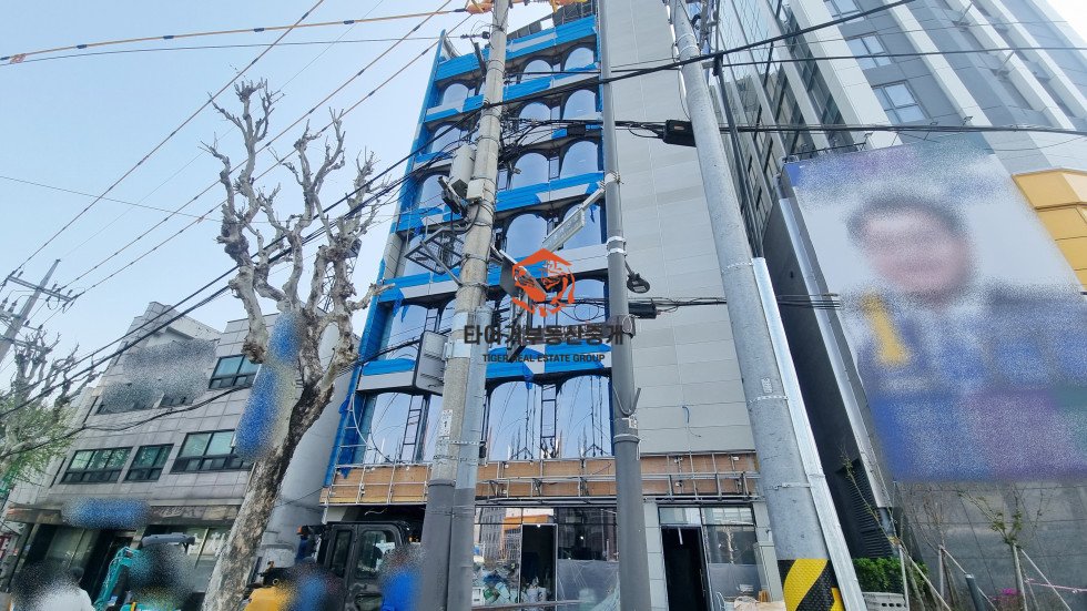 사진 5