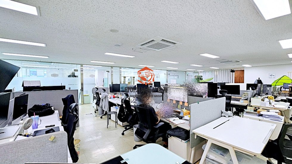 사진 6