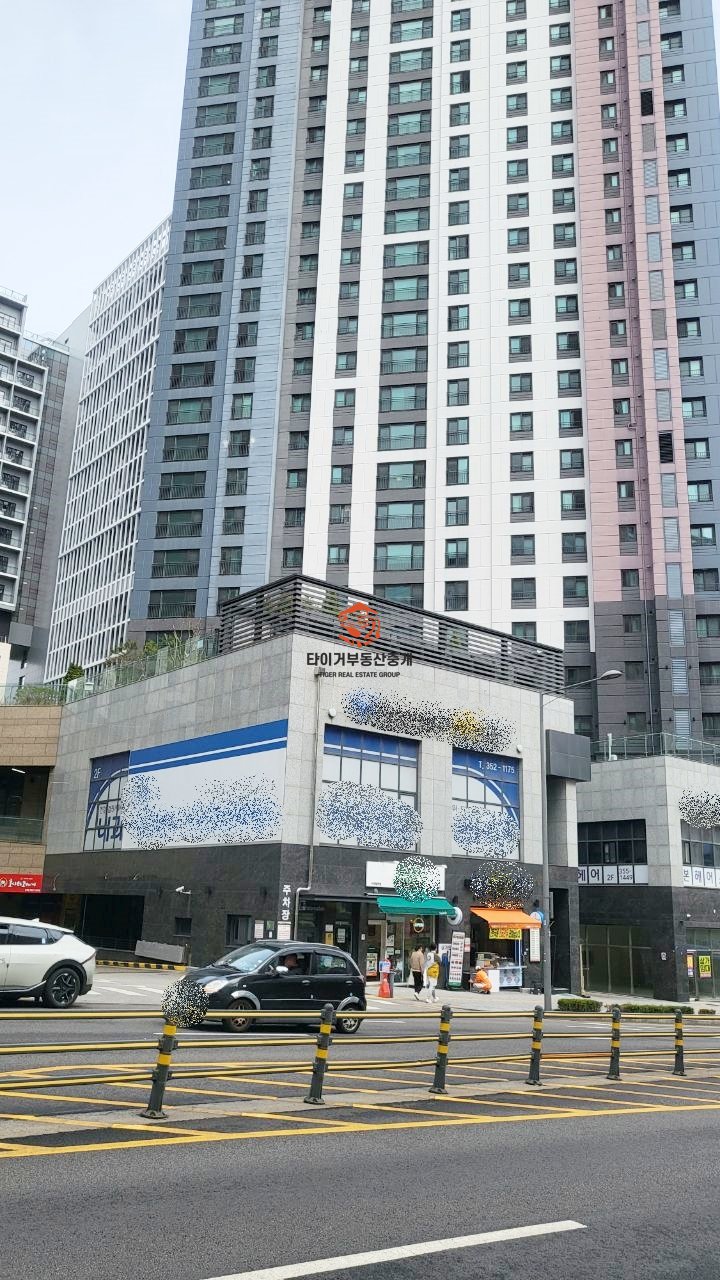 사진 5