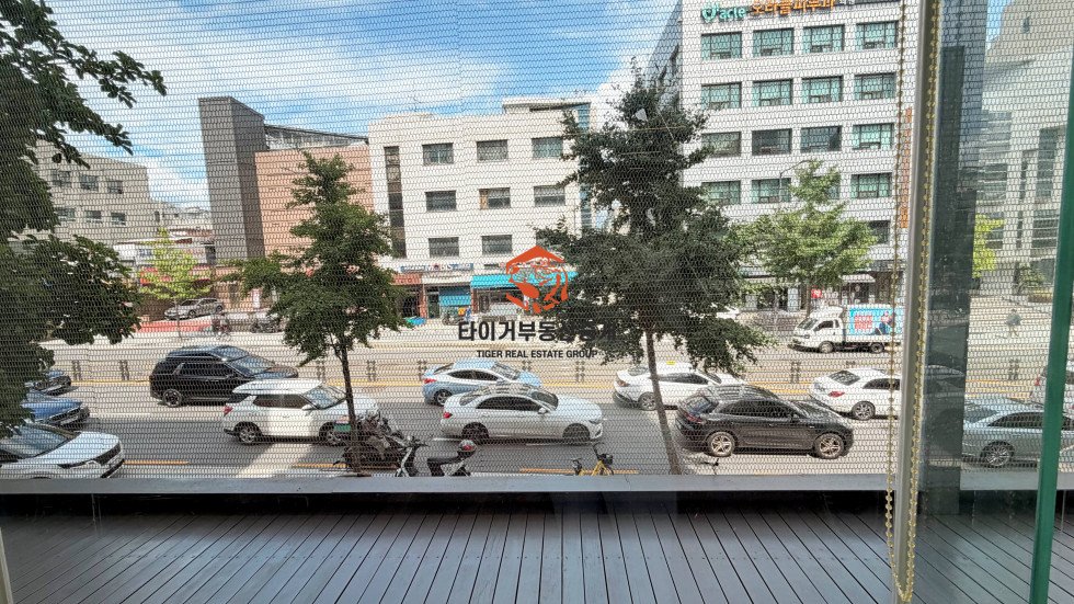 사진 10