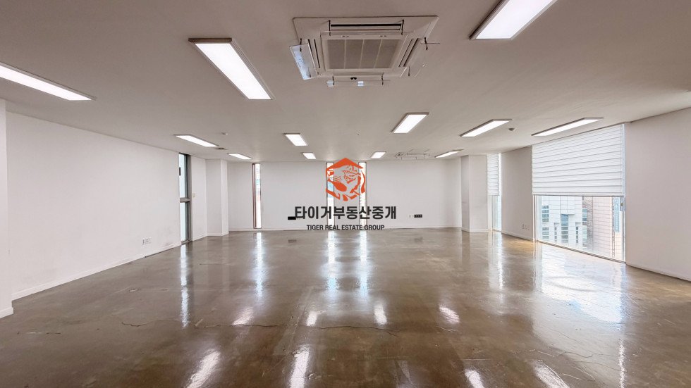 사진 3