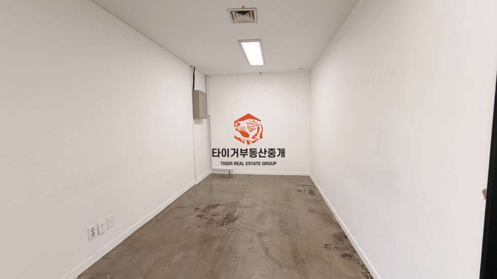 사진 12