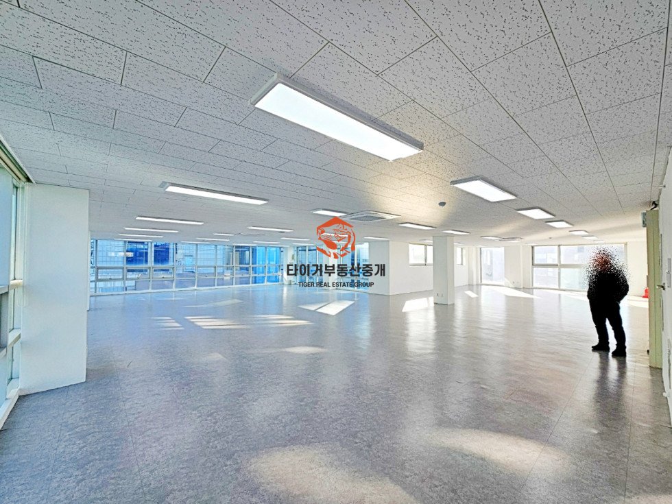 사진 3