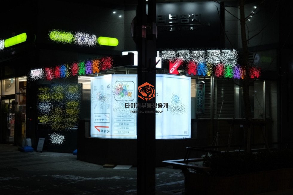사진 5
