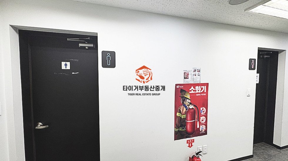 사진 6