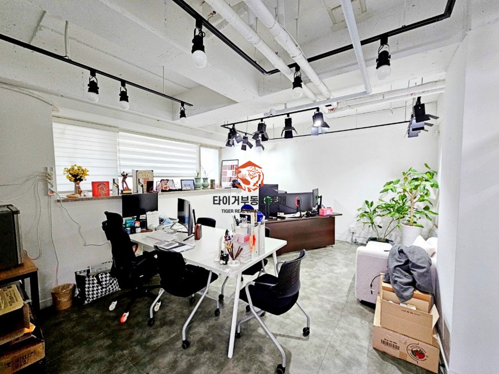 사진 7
