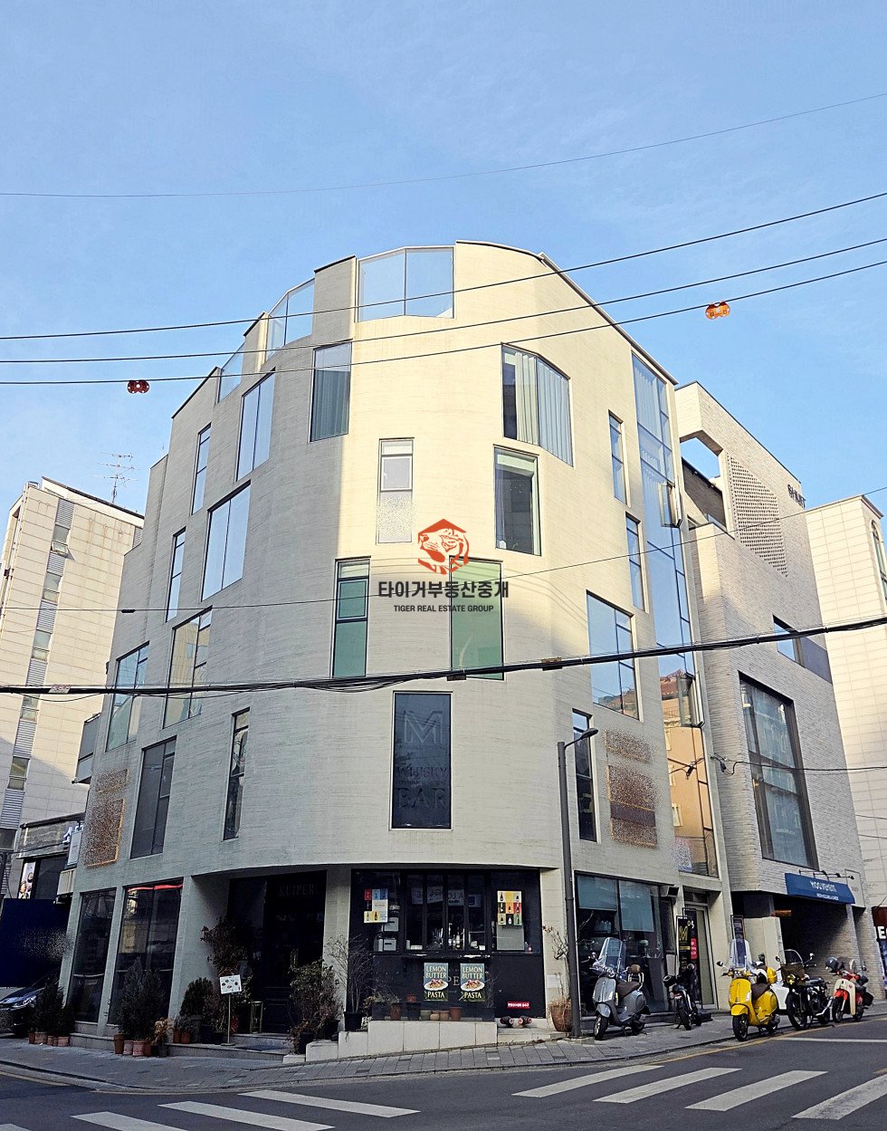 사진 13