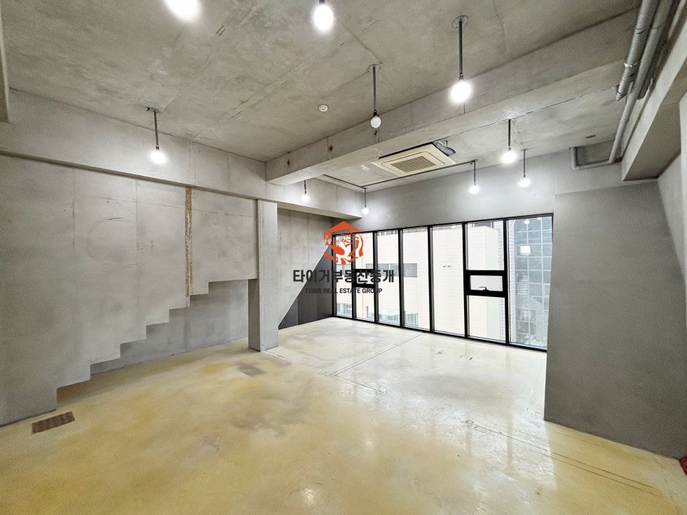 사진 5