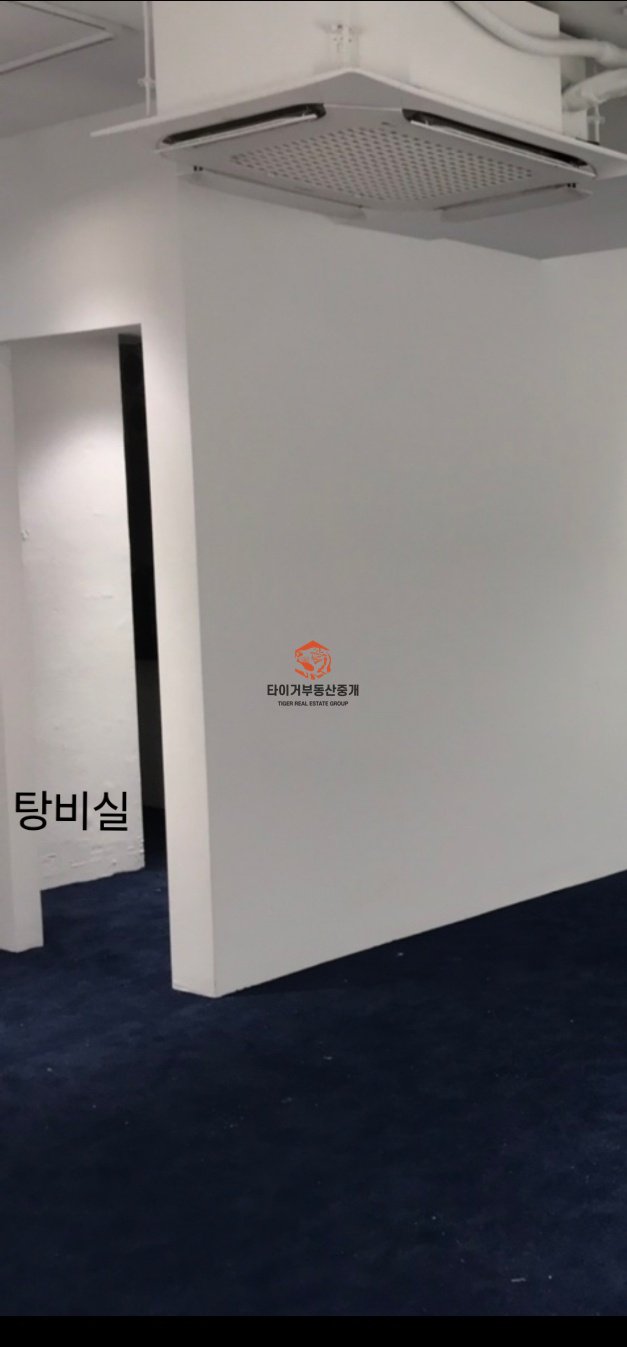 사진 5