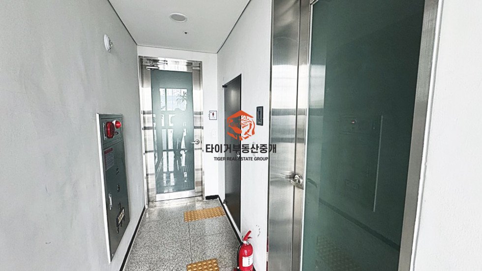 사진 12