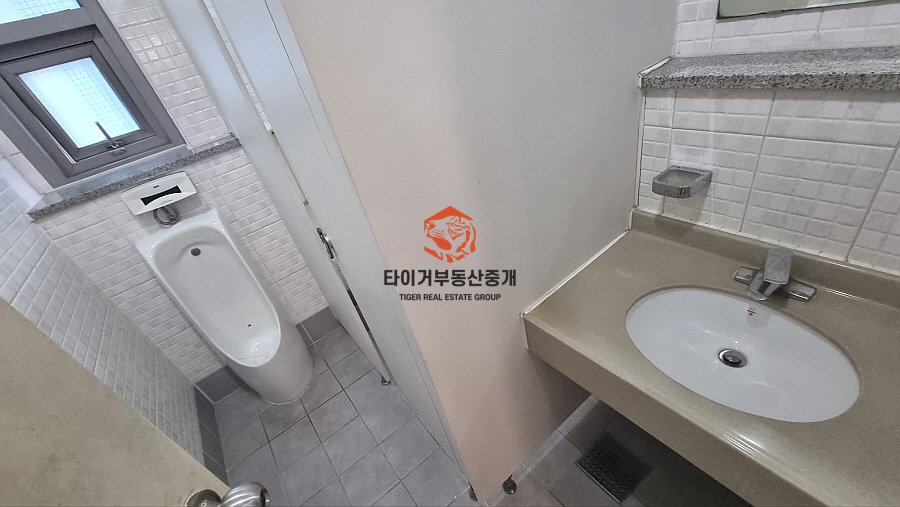 사진 5