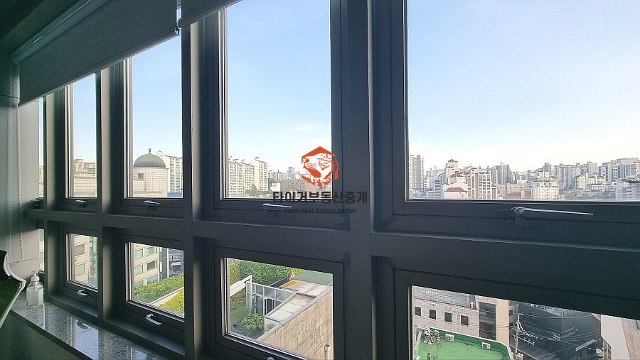 사진 12
