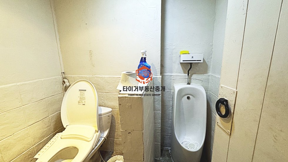 사진 6