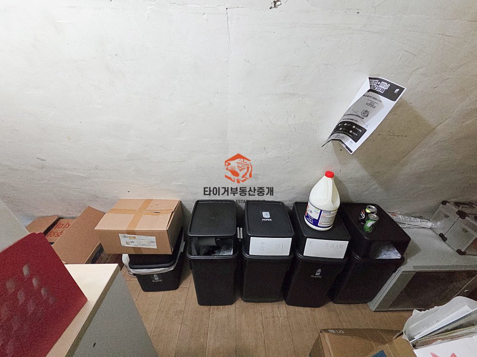 사진 11