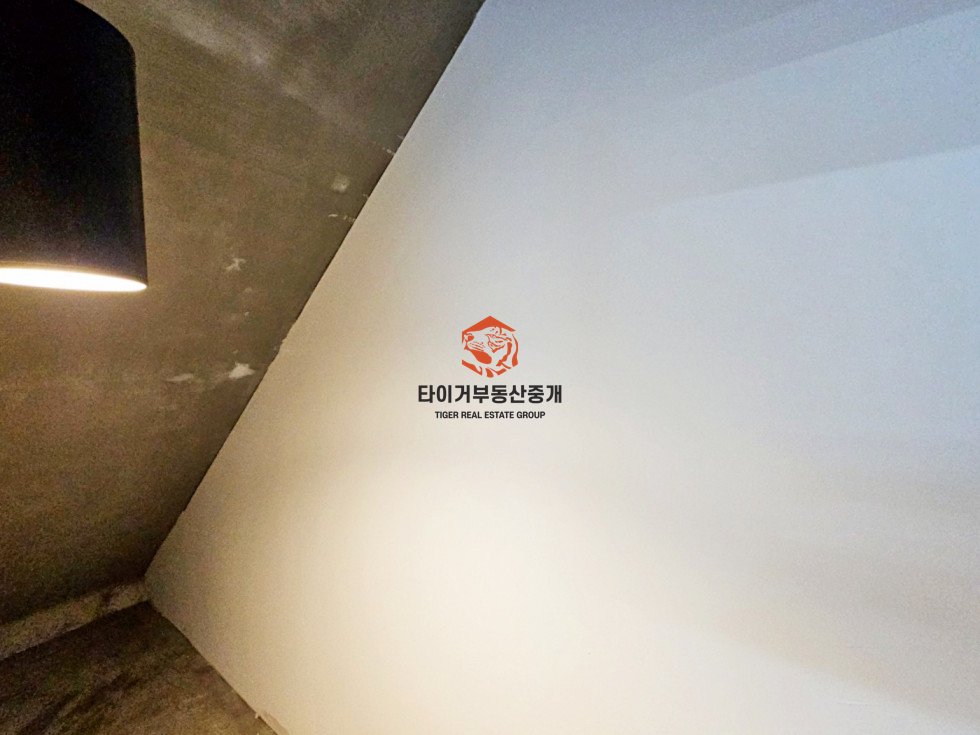 사진 8