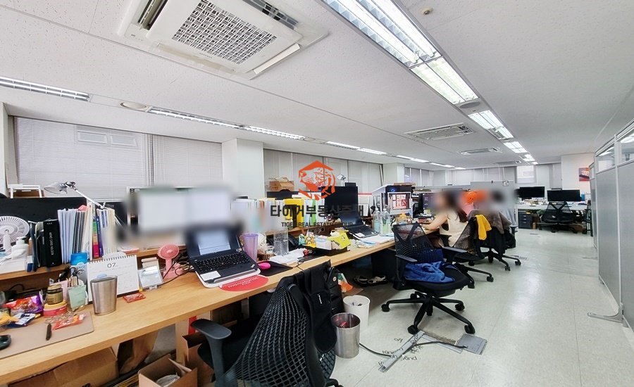 사진 4