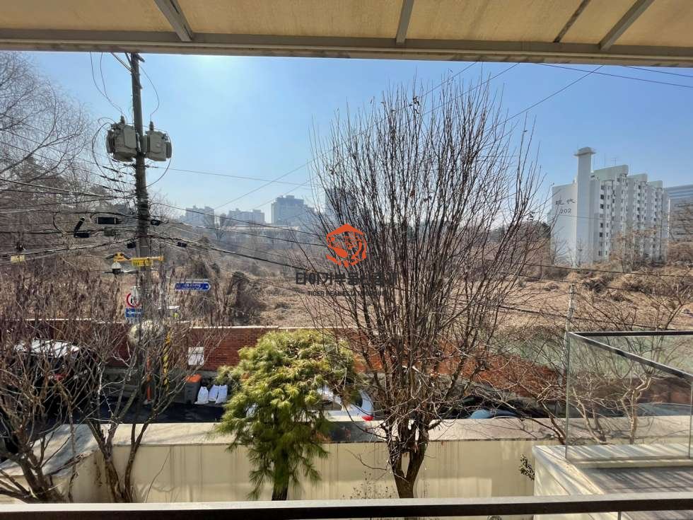 사진 12
