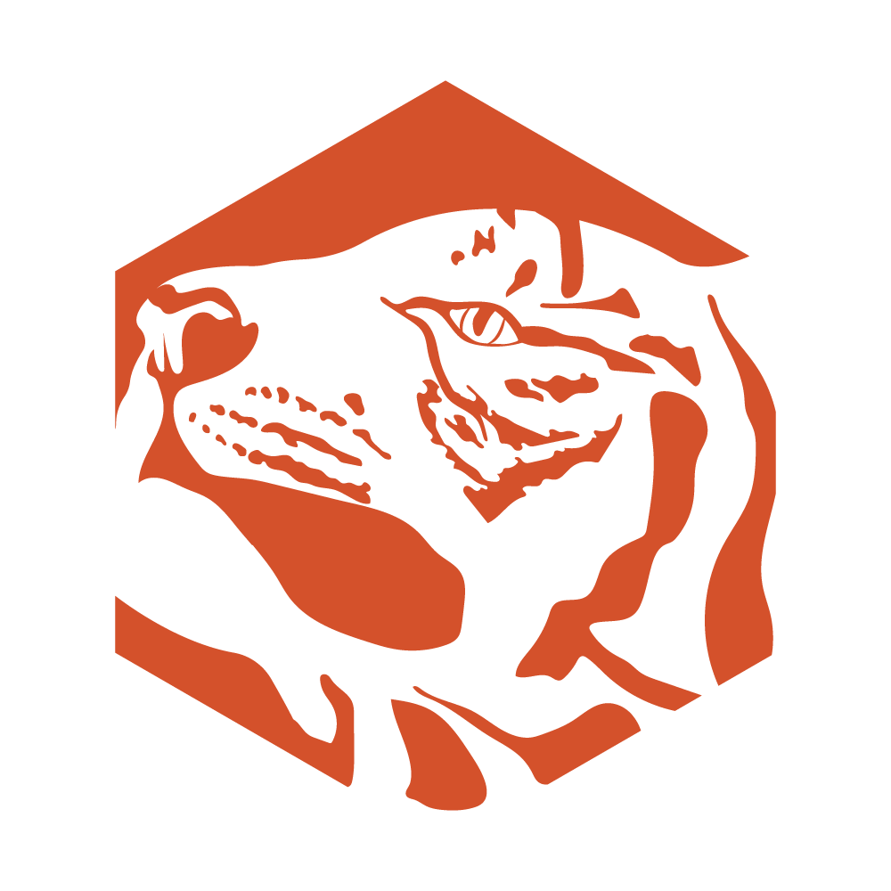 TEAM TIGER